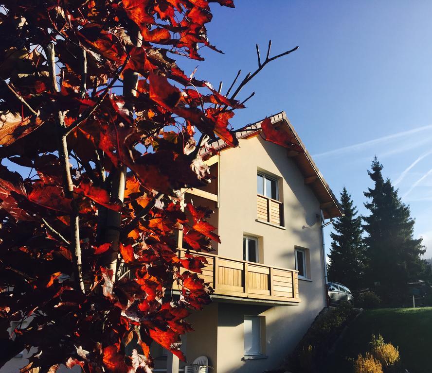 Magnifique Appartement A La Montagne Classe 4 Etoiles Шапел-де-Боа Екстериор снимка